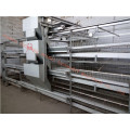 Galvanisiertes automatisches Pullet Cage Zertifikat von ISO9001